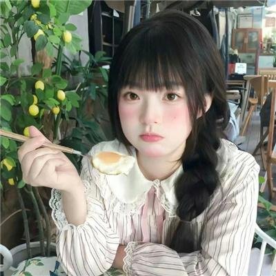 母猫